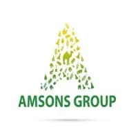Amsons Group logo